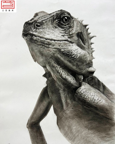 三艺8.jpg 三艺8.jpg