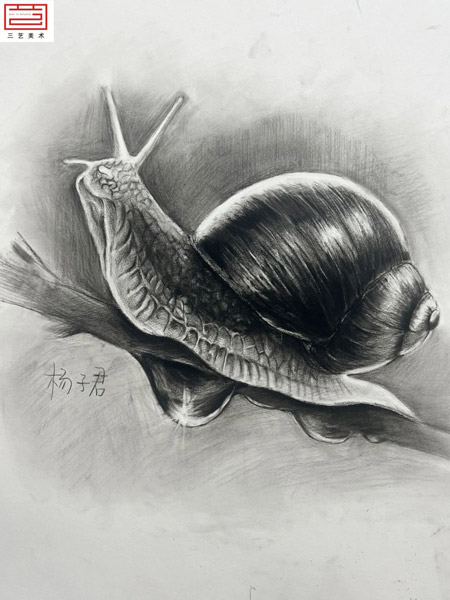 三艺14.jpg 三艺14.jpg